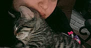 Patricio is registered to the contest to win money with this photo: affection, animal, casual, cat, closeup, comfort, cozy, cuddling, dark_background, face, human, indoor, love, person, pet, relaxation, resting, sleeping, striped, tabby_cat