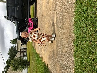 Kaisley is registered to the contest to win money with this photo: blurred, canidae, grass, joy, lawn, person