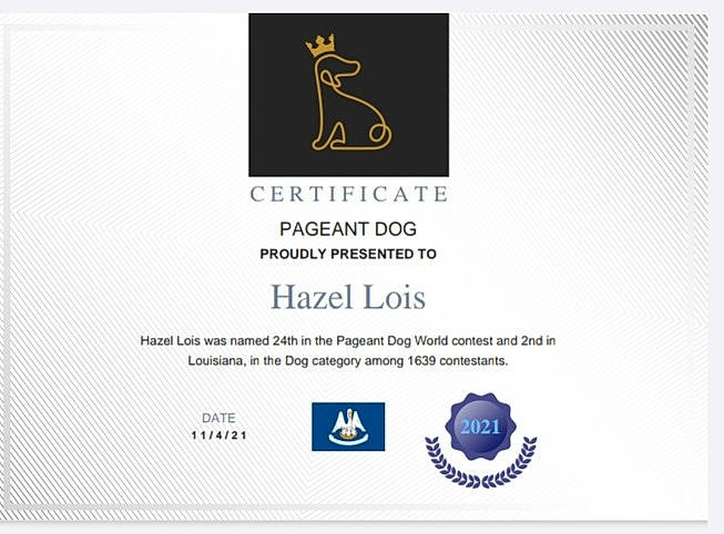 Hazel Lois joined the competition — help win amazing prizes! advertising, book, brand, circle, diagram, electric_blue, font, graphic_design, graphics, label, logo, multimedia, rectangle