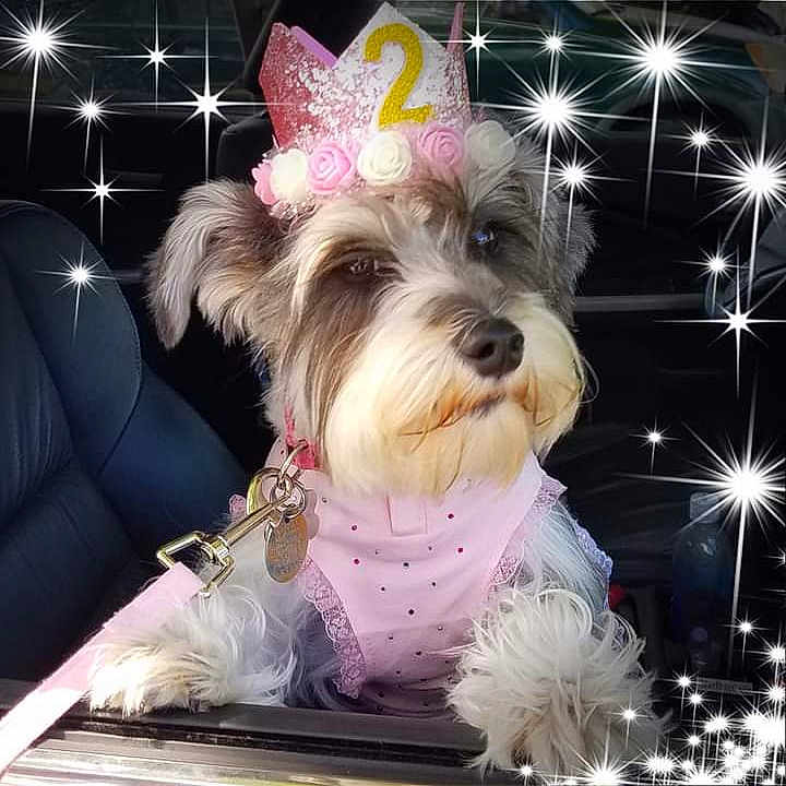 Miss Ava Belle