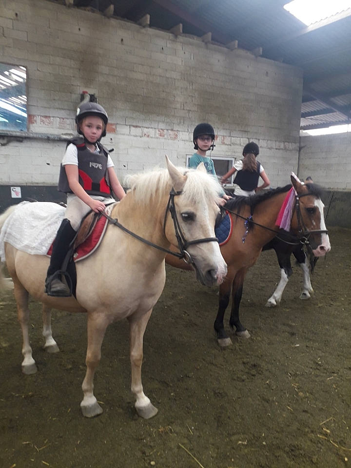 Cecilia participe au concours pour gagner de l'argent avec cette photo : animal_sports, bit, bridle, equestrian_sport, equestrianism, event, halter, headwear, horse, horse_supplies, horse_tack, livestock, mane, outdoor_recreation, pack_animal, person, recreation, rein, saddle, snout