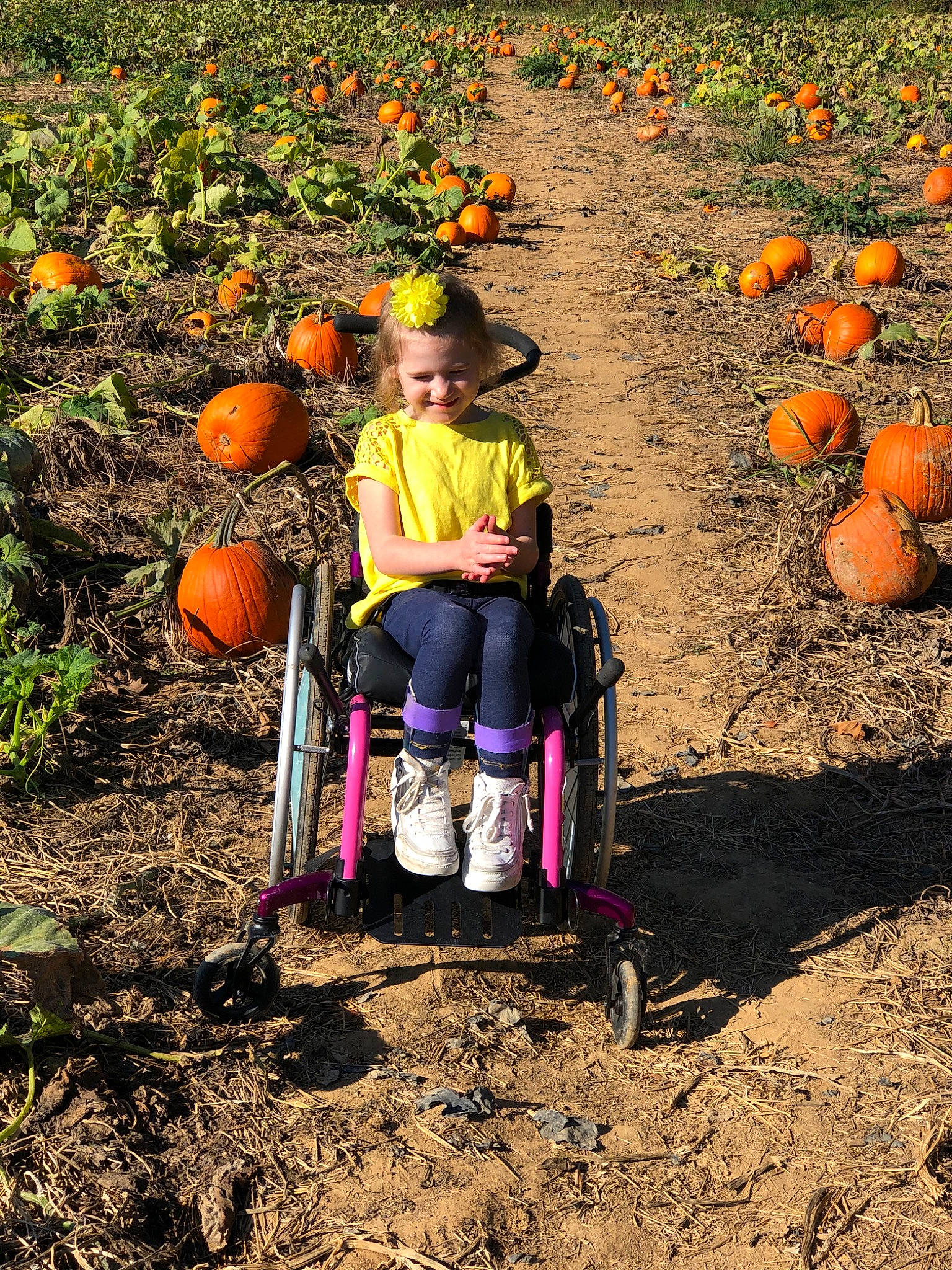 Aleeha is registered to the contest to win money with this photo: adaptation, autumn, calabaza, child, farmworker, fruit, gourd, joy, person, plant, pumpkin, soil, vegetable, vegetarian_food, vehicle, winter_squash