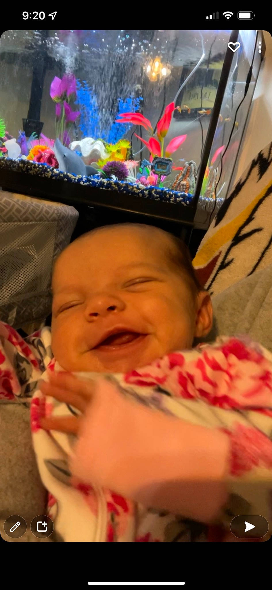 Hazleigh is registered to the contest to win money with this photo: baby, black, cheek, comfort, eye, face, finger, green, happy, head, headwear, iris, lip, mouth, nose, organ, person, pink, skin, smile