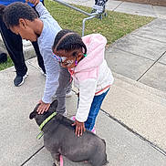 Reeree is registered to the contest to win money with this photo: child, dog, sidewalk, grass, leash, collar, stroller, face_paint, holding_hands, petting, outdoor, casual_clothing, concrete, curb, trees, playing, family, interaction, happy, daytime