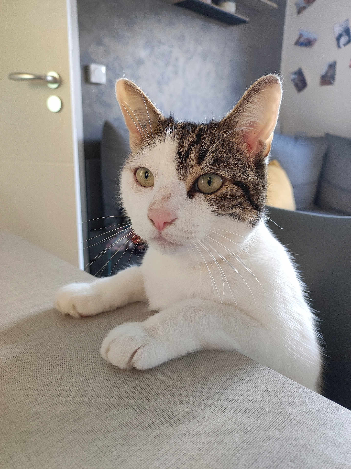 Maya