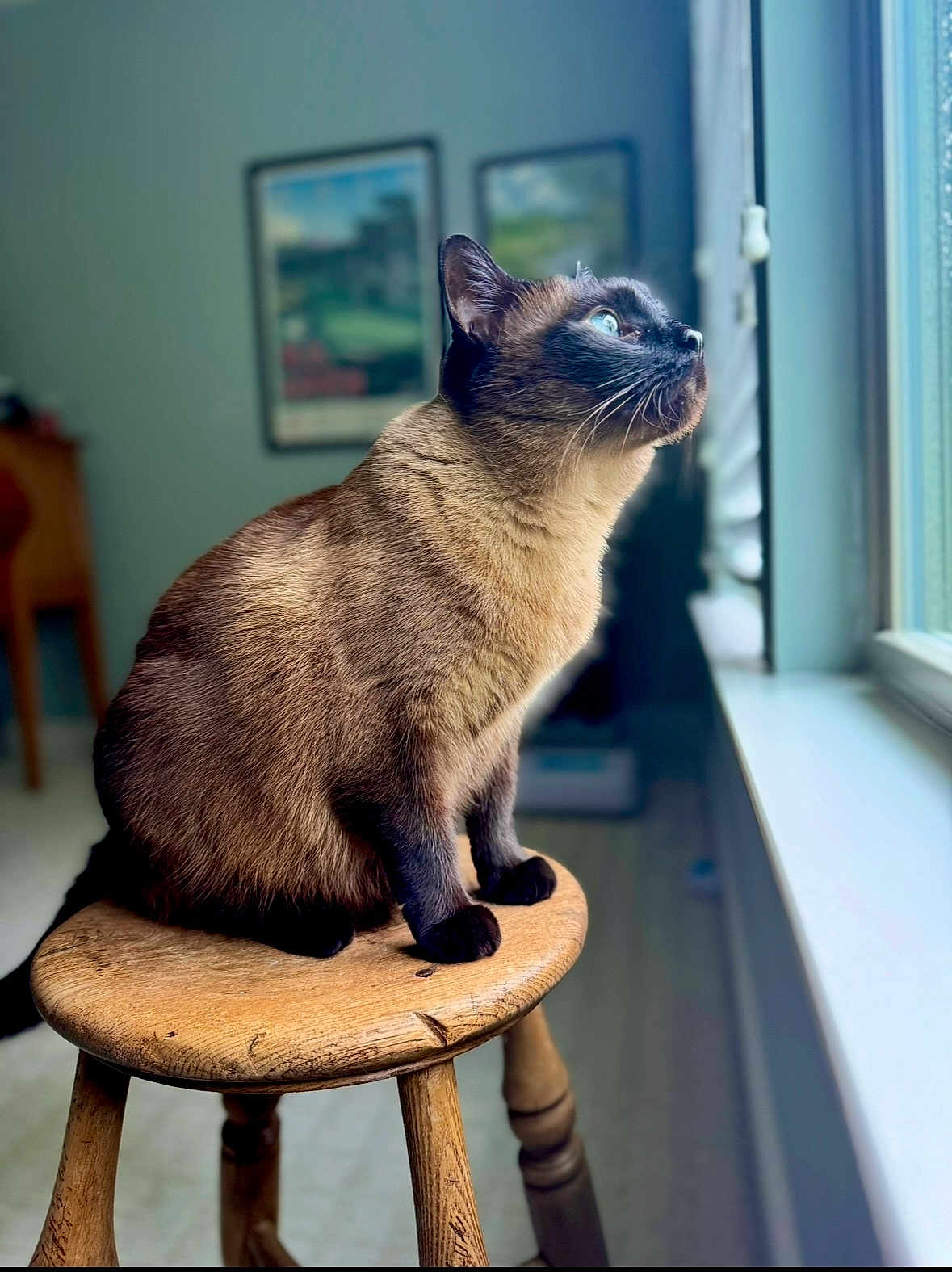 Gabby