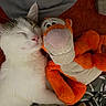 Dove participe au concours pour gagner de l'argent avec cette photo : adorable, animal, cat, close_up, comfort, cozy, cute, friendship, furry, indoor, nap, pet, plush_toy, resting, sleep, sleeping, soft, stuffed_animal, tiger, white_cat