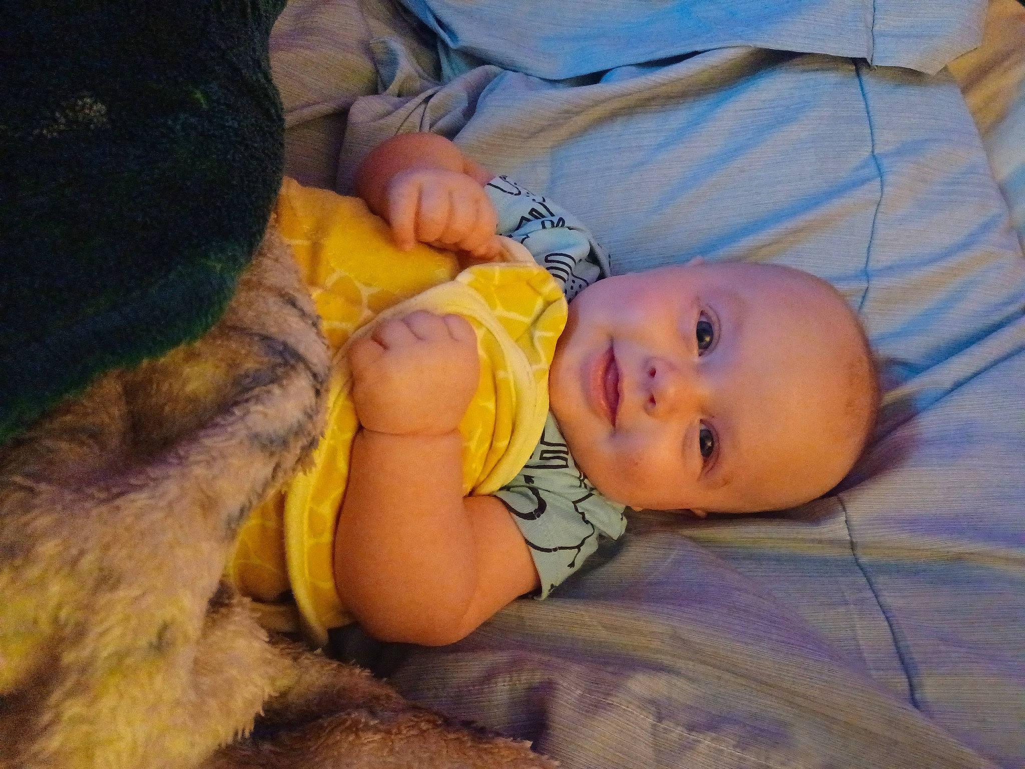 Dylan Jr joined the competition — help win amazing prizes! baby, baby_toddler_clothing, bedtime, cheek, child, comfort, fun, fur, grass, happy, iris, joy, nose, person, portrait_photography, sitting, skin, sleep, smile, toddler