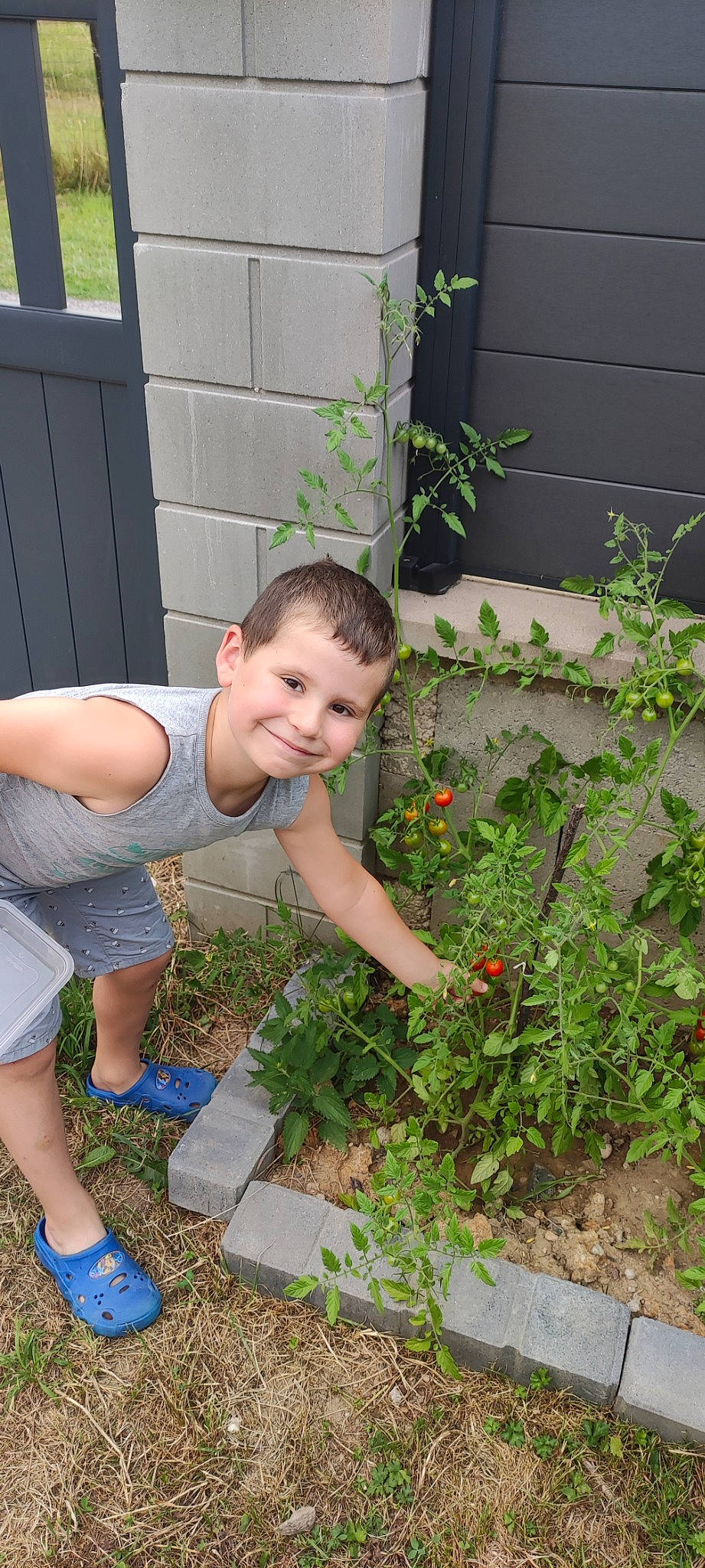 Mathieu a rejoint le concours — aidez-le/la à gagner de superbes lots ! annual_plant, child, eye, flower, flowering_plant, garden, grass, groundcover, happy, joy, landscape, lawn, people_in_nature, person, plant, shorts, shrub, smile, soil, t_shirt