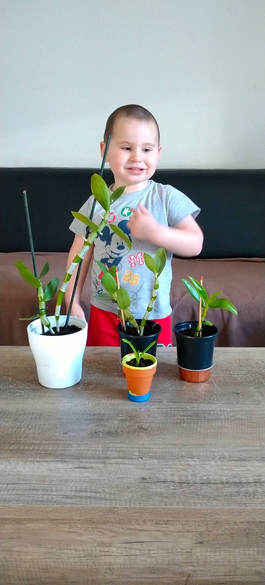Mathieu participe au concours pour gagner de l'argent avec cette photo : child, flower, flowerpot, houseplant, joy, person, plant, play, toddler