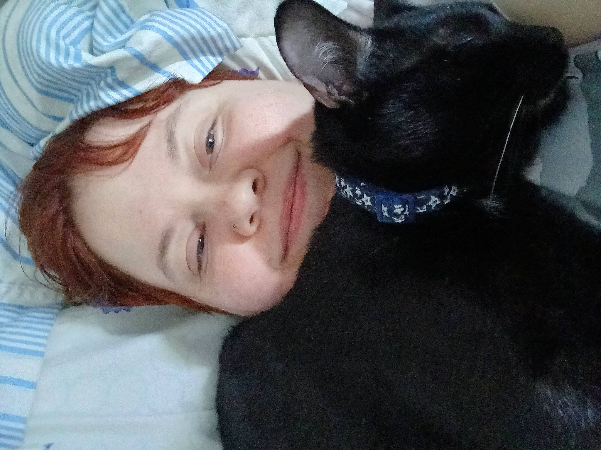 Crow is registered to the contest to win money with this photo: cap, carnivore, companion_dog, cool, dog, dog_breed, fawn, gesture, happy, hat, jaw, neck, nose, skin, smile, snout, sporting_group, sun_hat, whiskers, working_animal