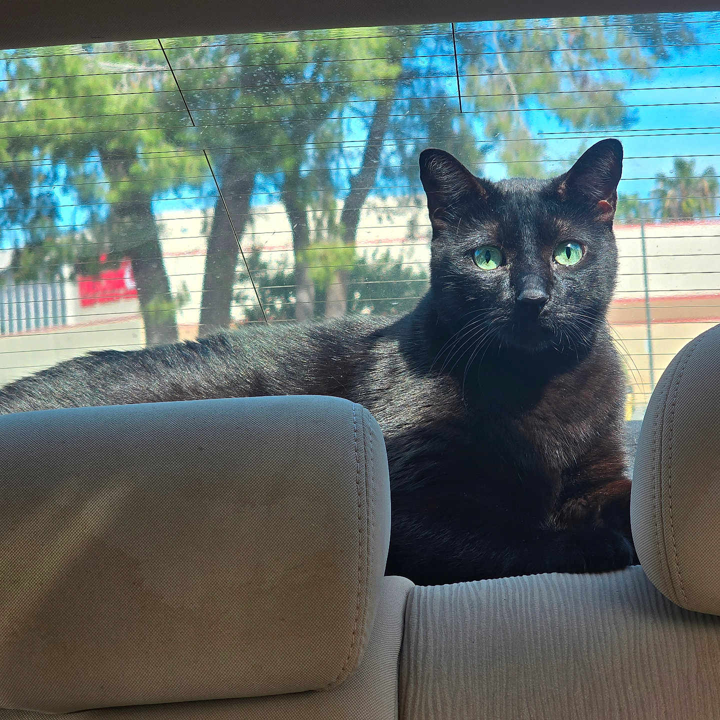 Leroy