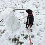 Allya a rejoint le concours — aidez-le/la à gagner de superbes lots ! animal, black_dog, cold, daylight, dog, footprints, frozen_ground, leash, nature, outdoor, paw_prints, pet, playful, red_collar, small_dog, snow, snowman, stick, sweater, winter