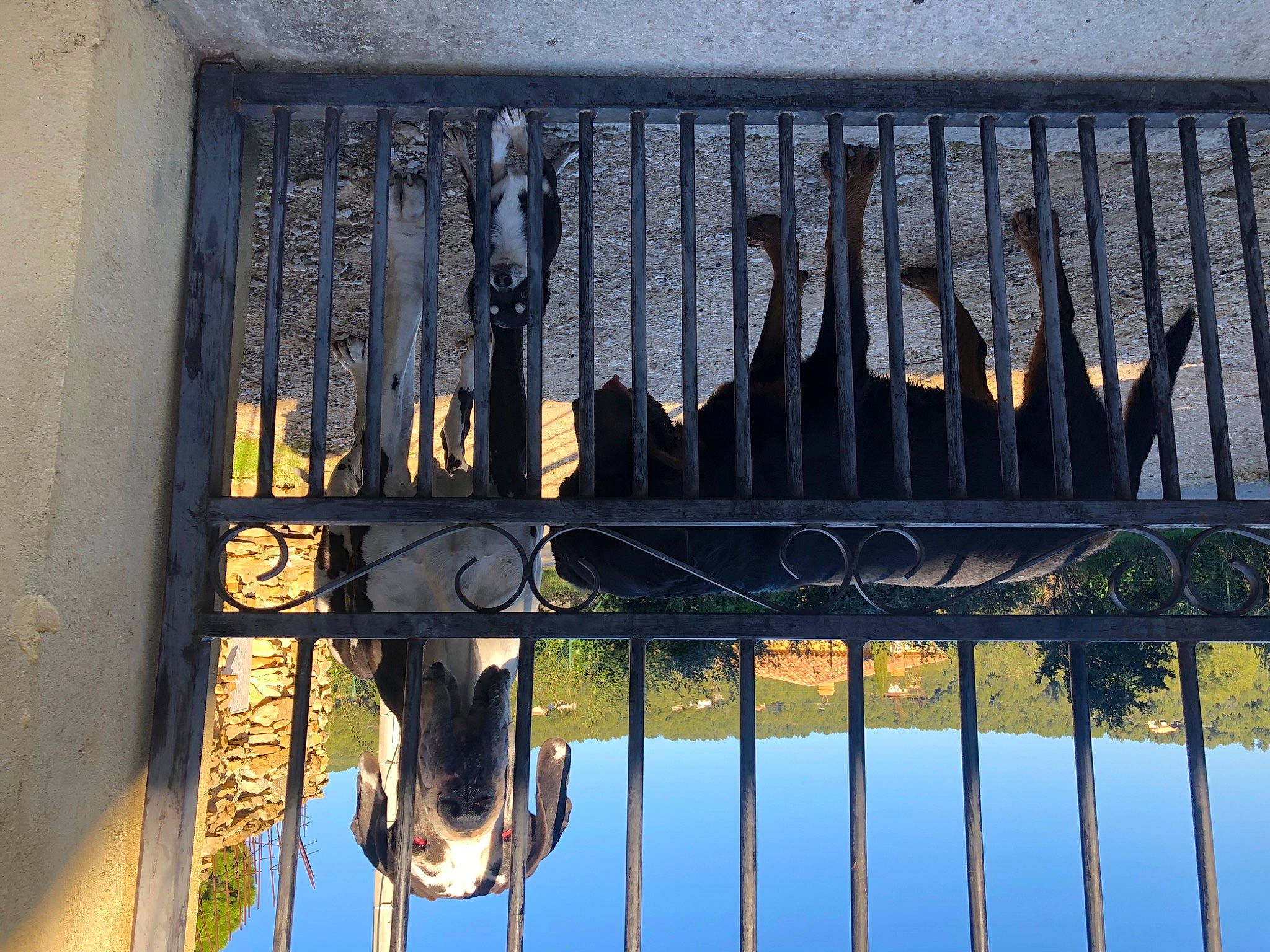 Nano participe au concours pour gagner de l'argent avec cette photo : art, balcony, building, facade, font, glass, light, line, metal, rectangle, shadow, sky, steel, symmetry, tints_and_shades, twig, visual_arts, water, window, wood