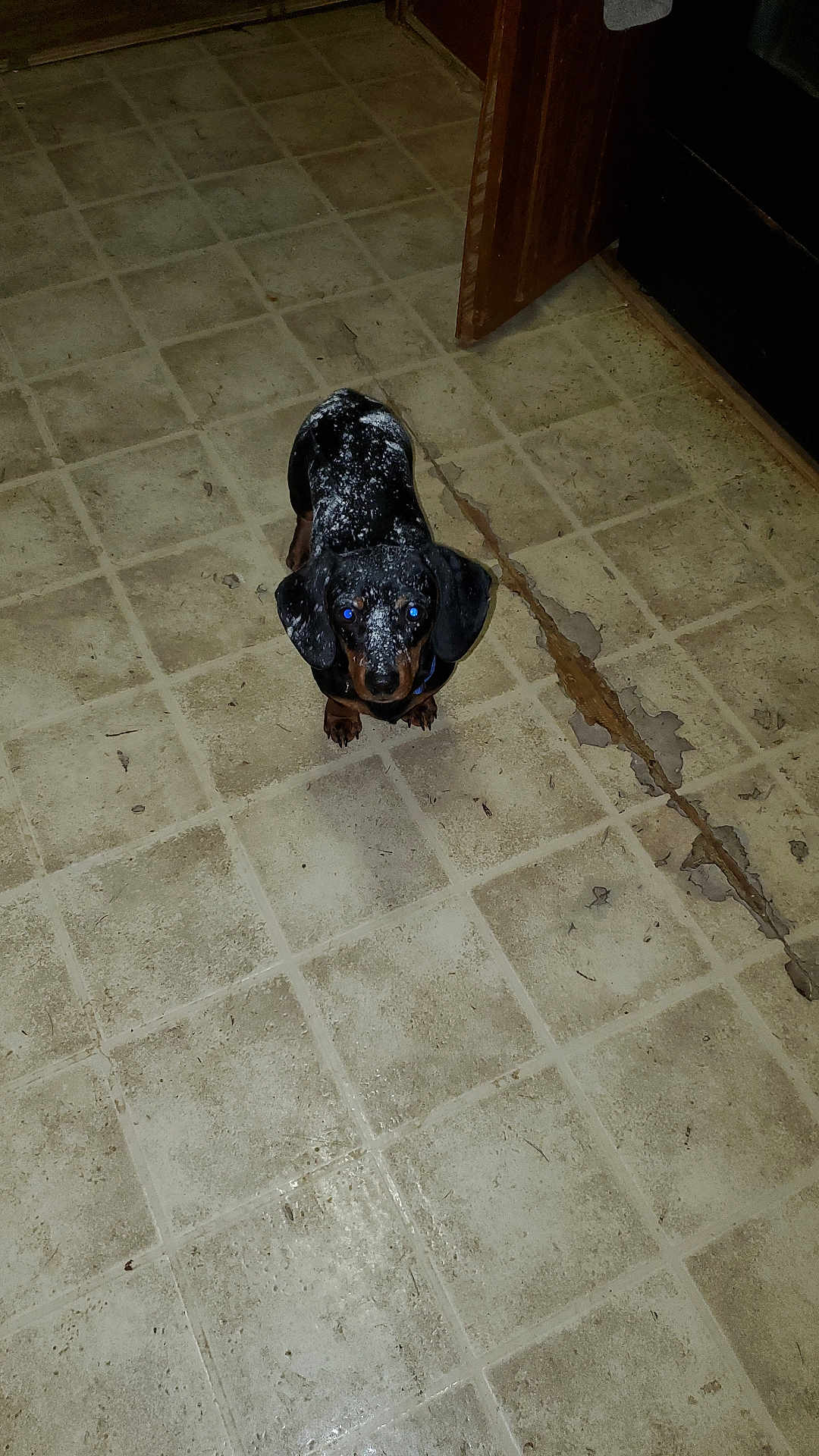 Buster