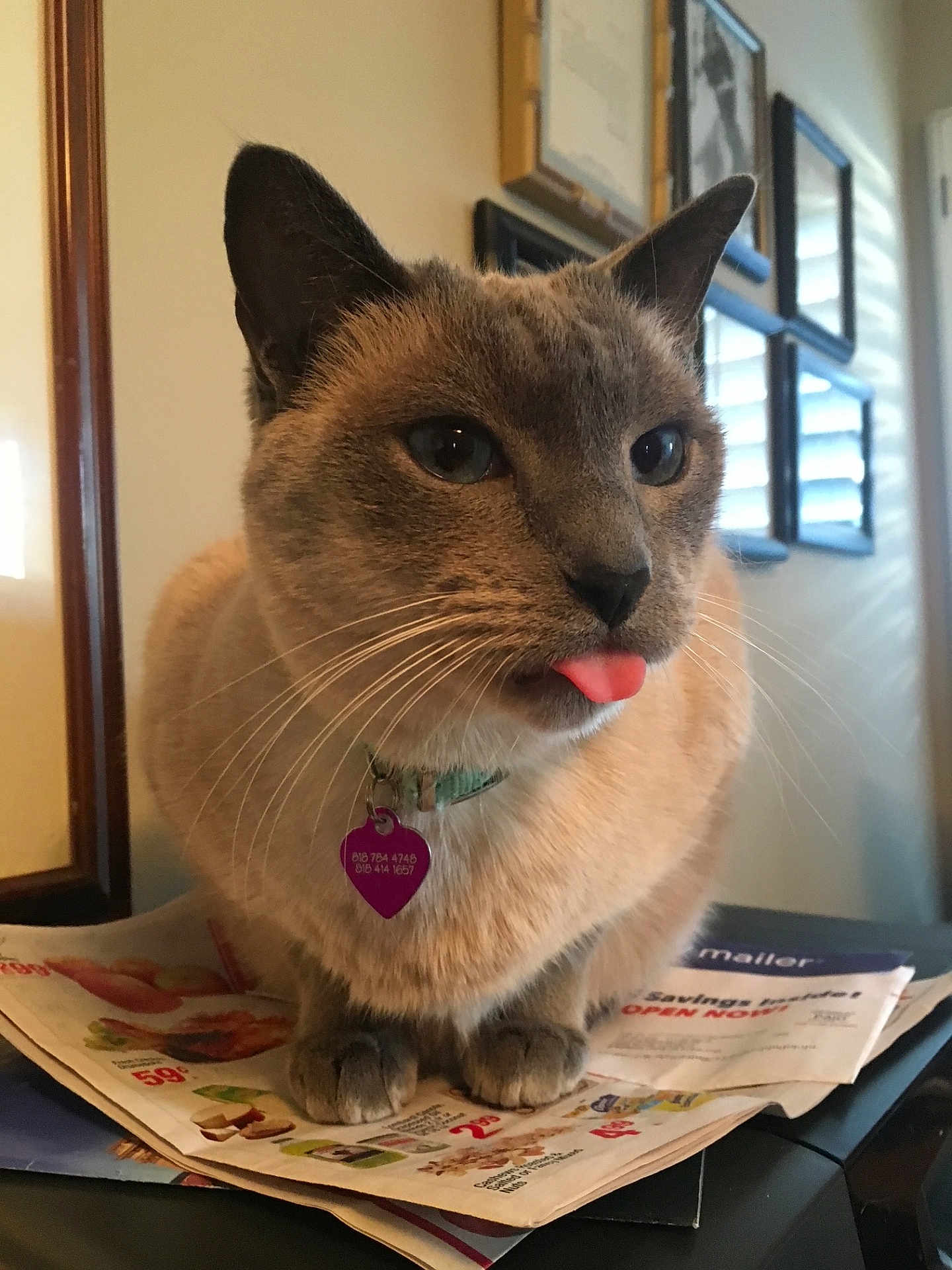 Louie