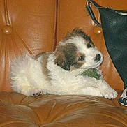 Marilyn Bejar participe au concours pour gagner de l'argent avec cette photo :