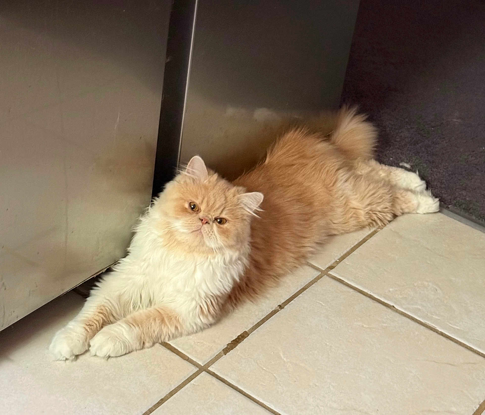 Charlie