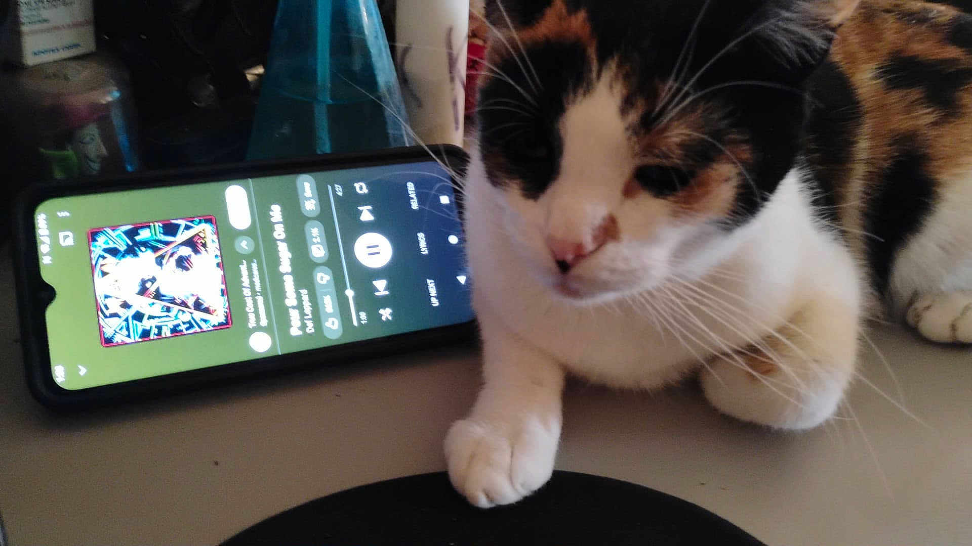 Trixie is registered to the contest to win money with this photo: blurred_background, calico, cat, close_up, curious, domestic_animal, electronics, feline, household, indoor, music_player, paw, pet, resting, screen, sleepy, smartphone, table, technology, whiskers