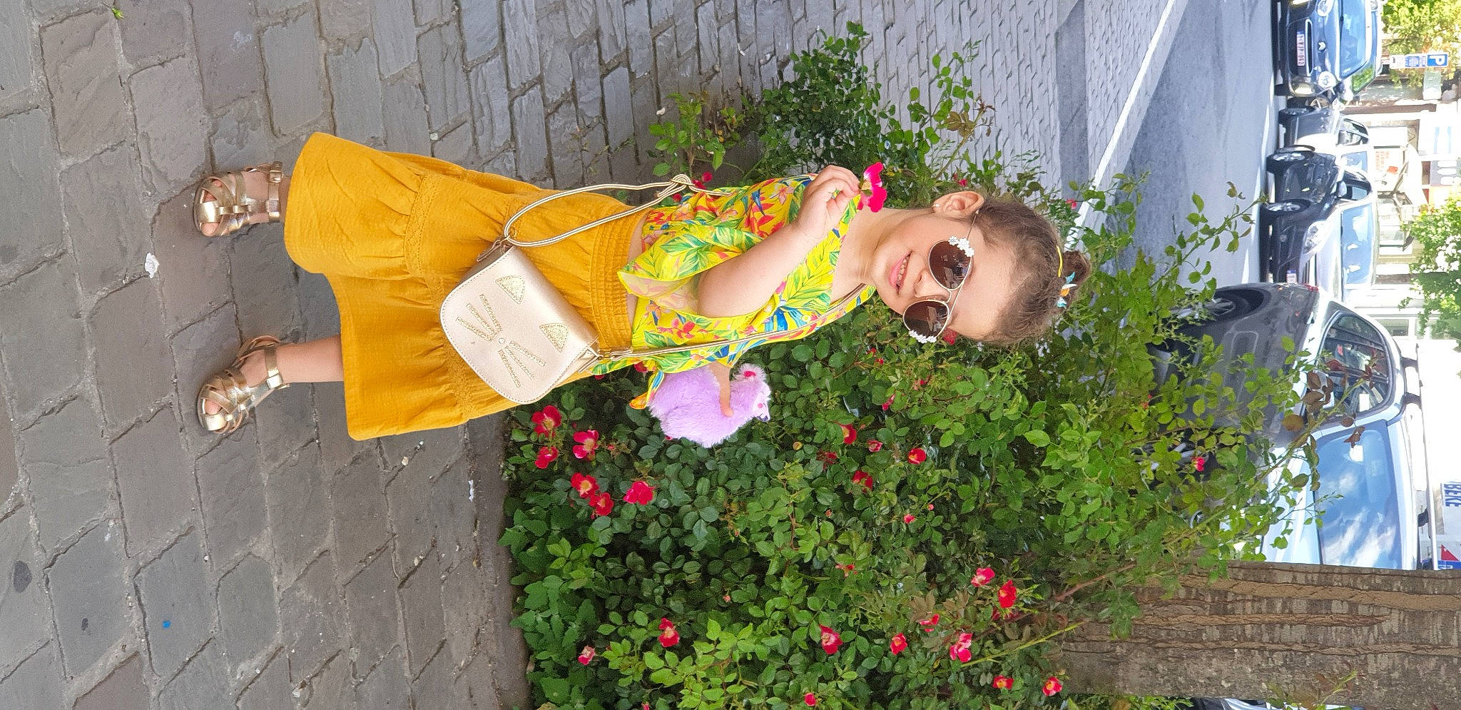 Serenna Ioana a rejoint le concours — aidez-le/la à gagner de superbes lots ! annual_plant, dress, event, eyewear, floristry, flower, flower_arranging, grass, happy, joy, landscape, leisure, magenta, people_in_nature, person, petal, pink, plant, rose, shrub