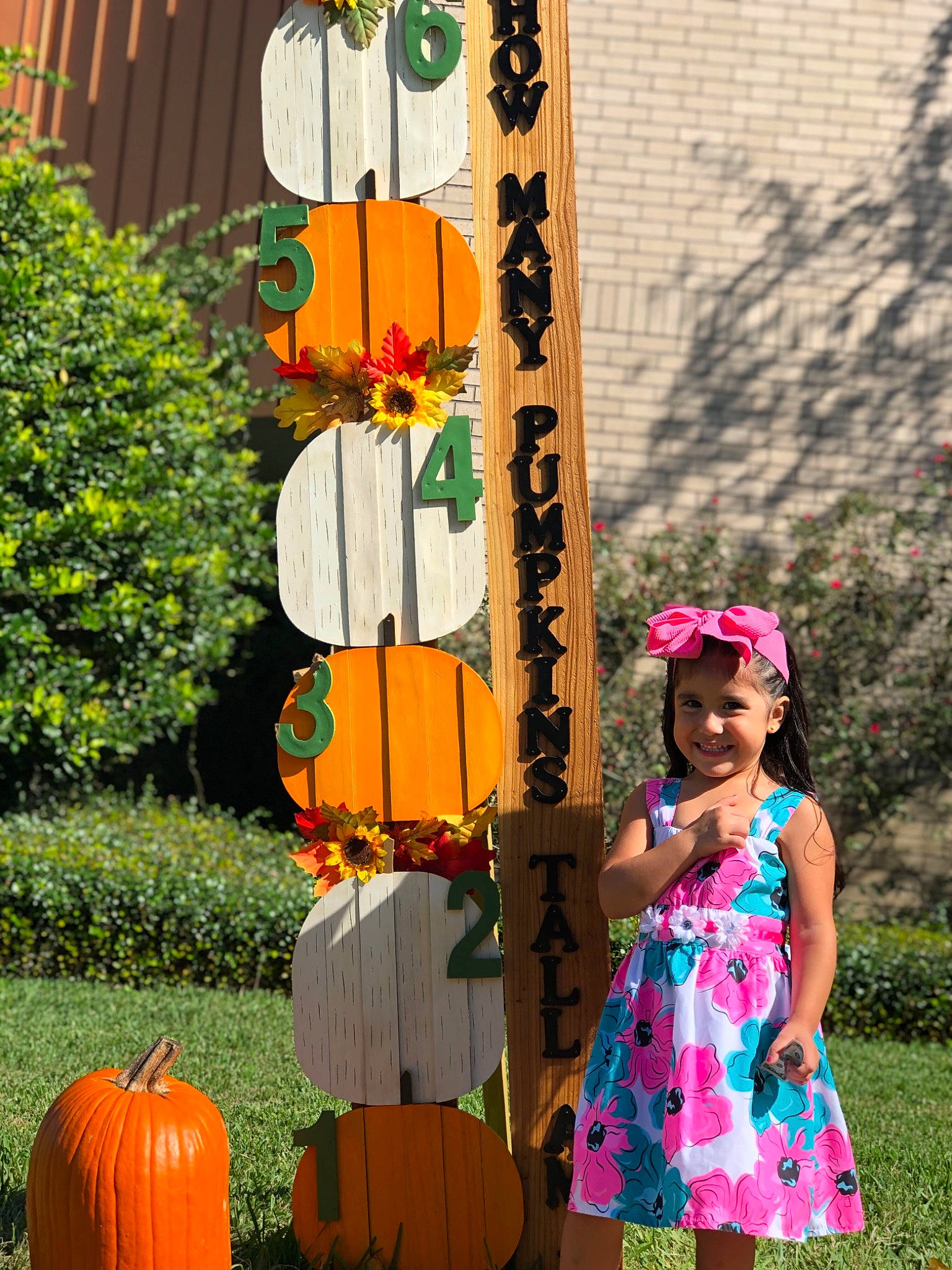 Aryana joined the competition — help win amazing prizes! costume, flower, joy, orange, person, plant, pumpkin, yellow