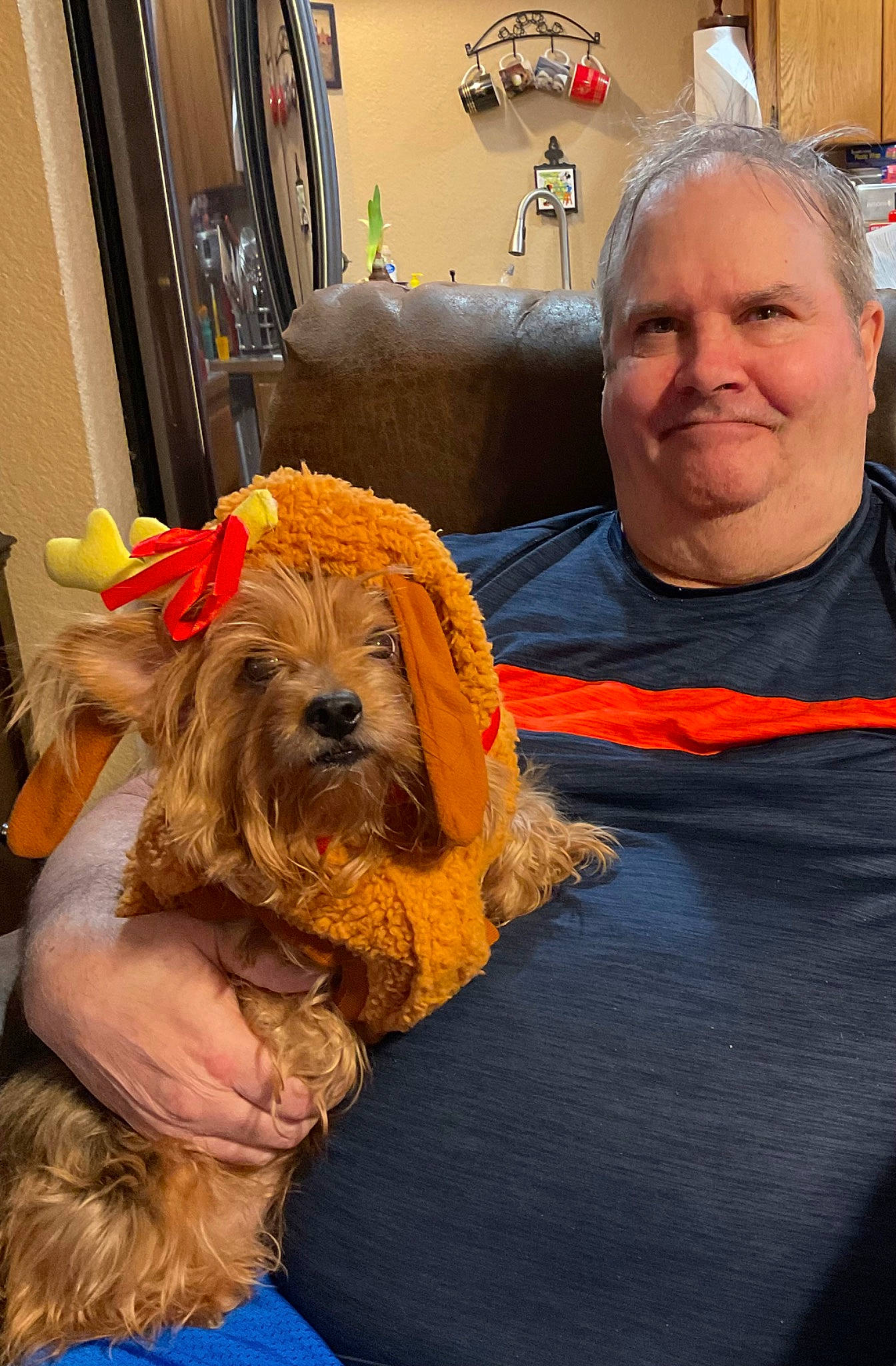 Chloe joined the competition — help win amazing prizes! beard, canidae, carnivore, chair, comfort, companion_dog, dog, dog_breed, facial_hair, fur, lap, picture_frame, sitting, small_terrier, smile, terrier, toy_dog, window, working_animal, wrinkle