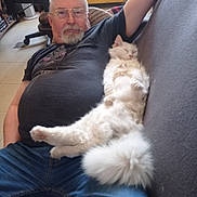 Shah Mallow participe au concours pour gagner de l'argent avec cette photo : bearded, casual, cat, comfort, companion, couch, fluffy, furniture, glasses, home, indoor, jeans, leisure, man, pet, relaxing, resting, sleeping, tshirt, white_cat
