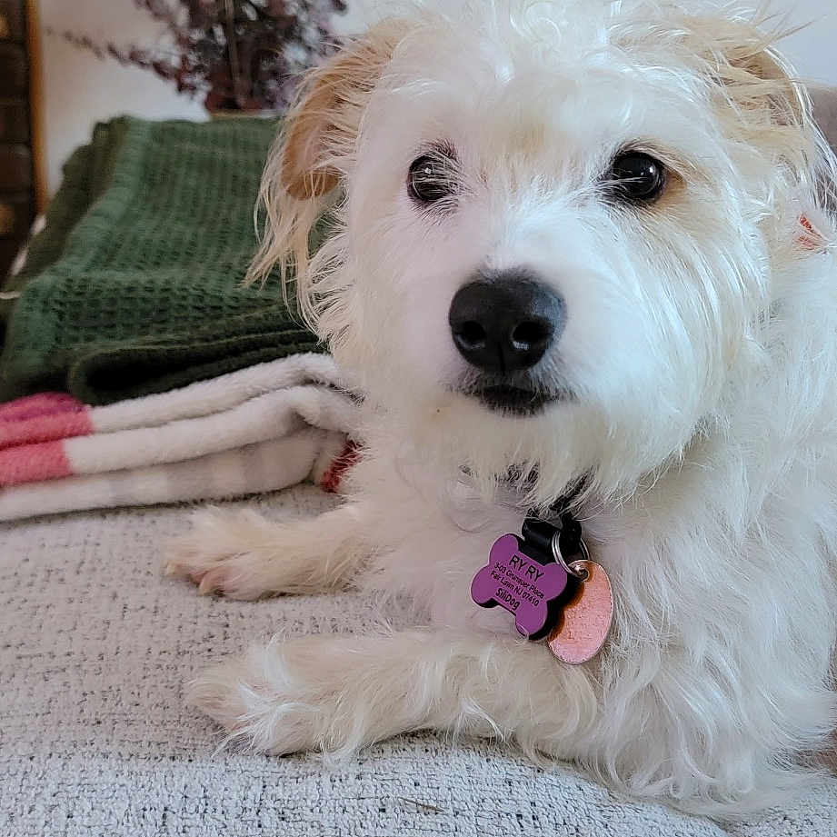 Riley