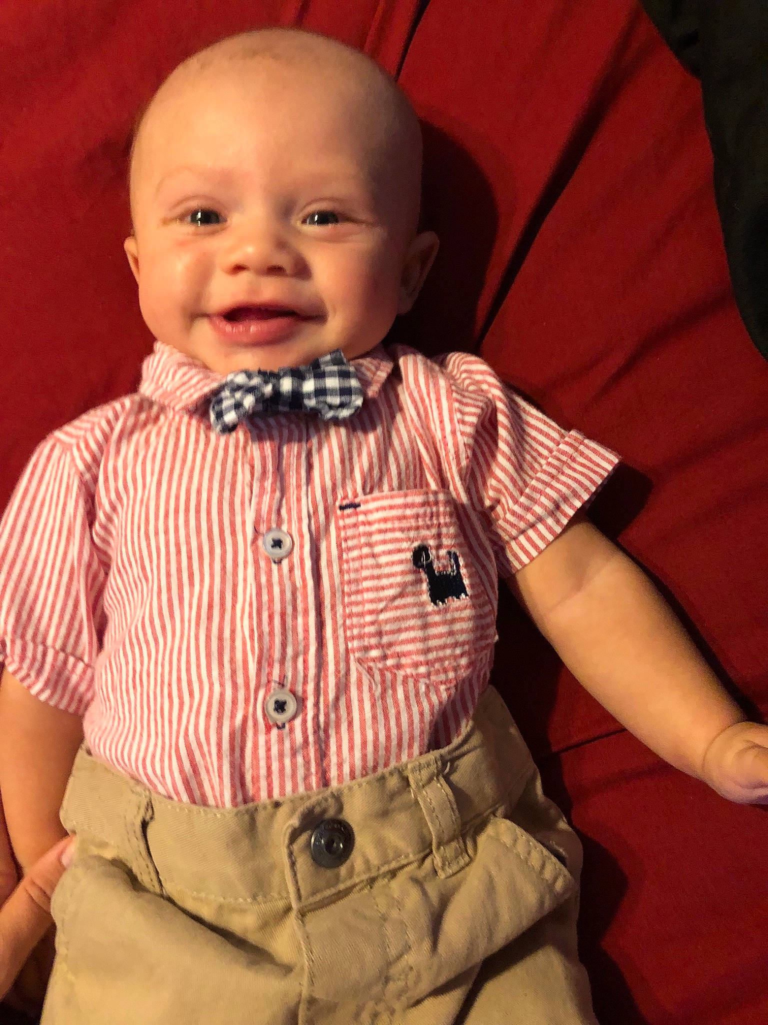 Radley is registered to the contest to win money with this photo: baby, bow_tie, cheek, child, chin, face, forehead, head, nose, person, pink, skin, sleeve, smile, tie, toddler