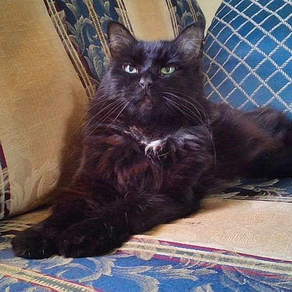 Hermione