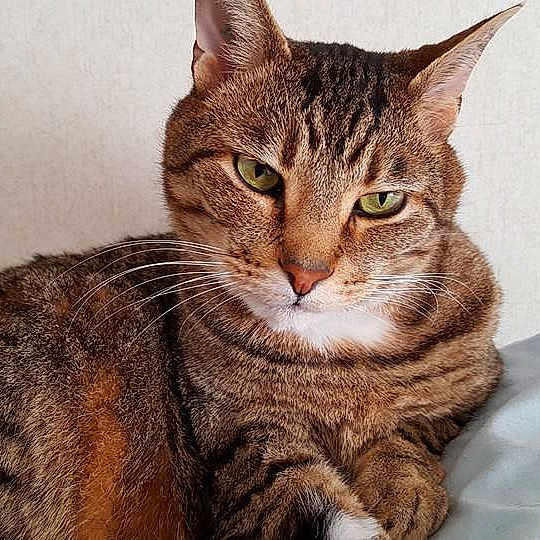Duncan
