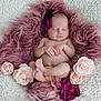 Victoire participe au concours pour gagner de l'argent avec cette photo : newborn, baby, sleeping, flower, headband, purple, pink, fluffy, blanket, soft_texture, cute, resting, infant, portrait, cozy, peaceful, hands, feet, decorative, nest