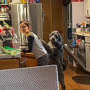 Galaxy is registered to the contest to win money with this photo: boy, dog, kitchen, refrigerator, counter, cabinet, appliance, floor, wood, food, container, cupboard, pet, child, indoor, standing, curious, casual, domestic, home