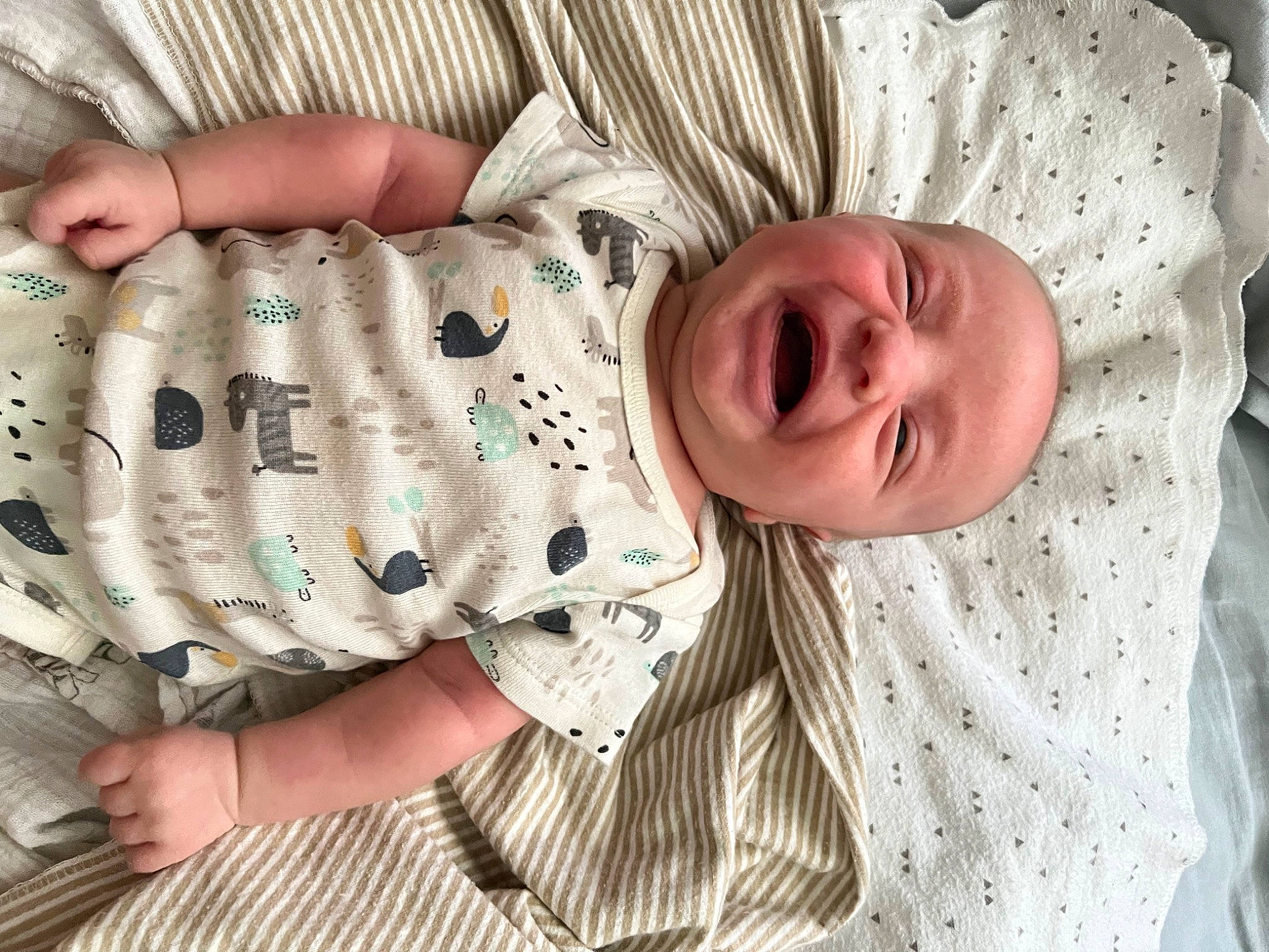 Emmitt joined the competition — help win amazing prizes! baby, baby_laughing, baby_toddler_clothing, child, comfort, fashion_accessory, finger, gesture, happy, jewellery, mouth, nail, pattern, person, skin, sleeve, smile, textile, thumb, toddler