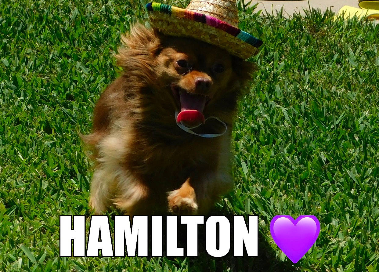 Hamilton