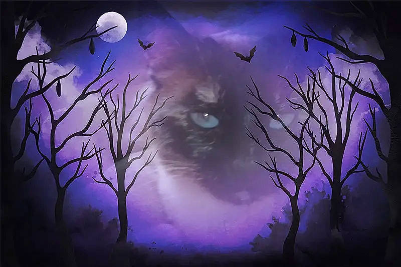 Yukanama a rejoint le concours — aidez-le/la à gagner de superbes lots ! art, astronomical_object, atmosphere, atmospheric_phenomenon, branch, daytime, dusk, electric_blue, magenta, midnight, natural_environment, natural_landscape, plant, purple, sky, space, tree, twig, violet, world