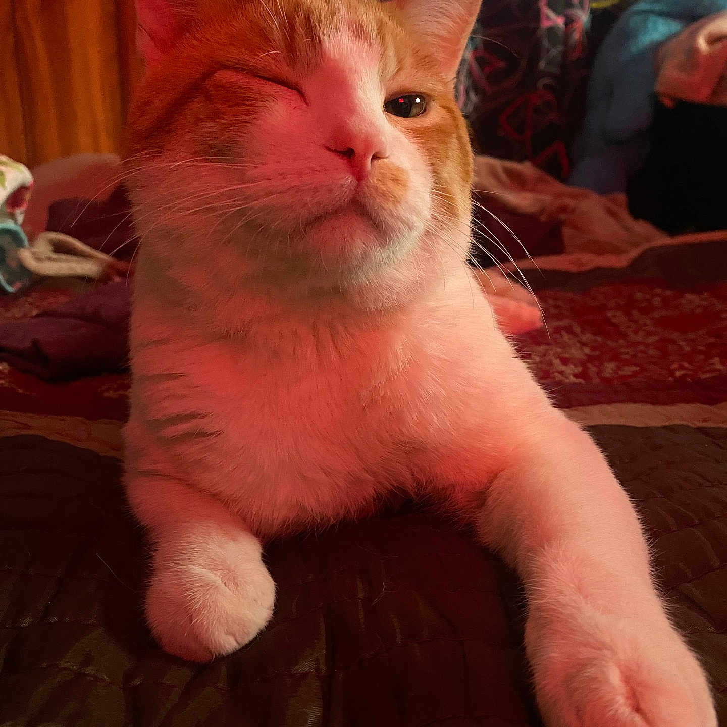 Lalo