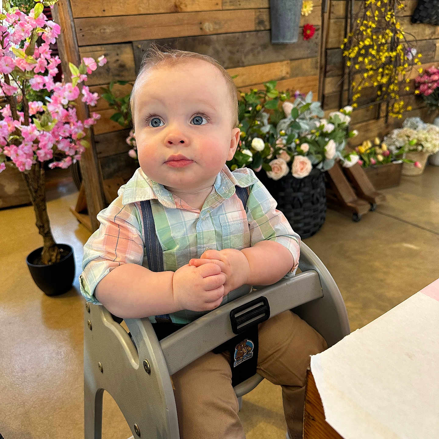 Jaxson is registered to the contest to win money with this photo: baby, face, flower, flowerarrangement, flowerbouquet, furniture, head, indoors, interiordesign, jar, person, photography, plant, planter, portrait, pottedplant, pottery, sitting, vase, wood