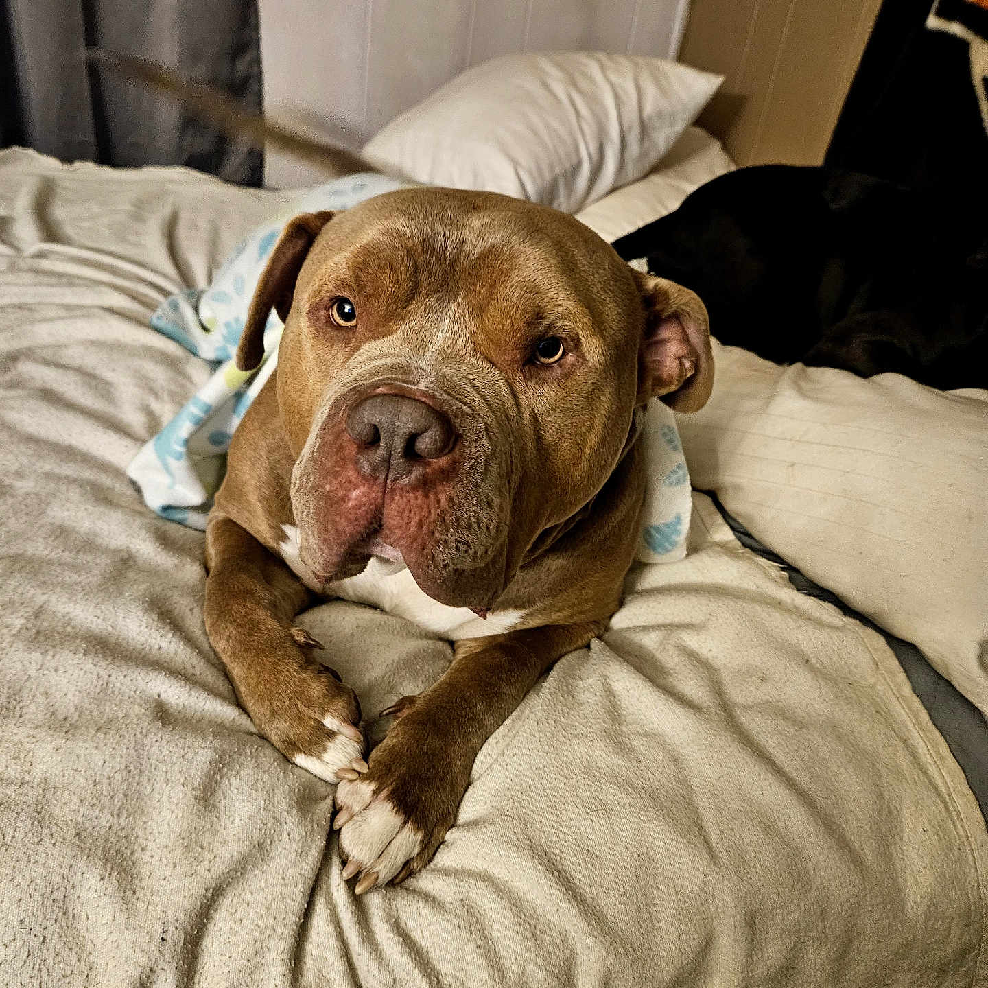 Von