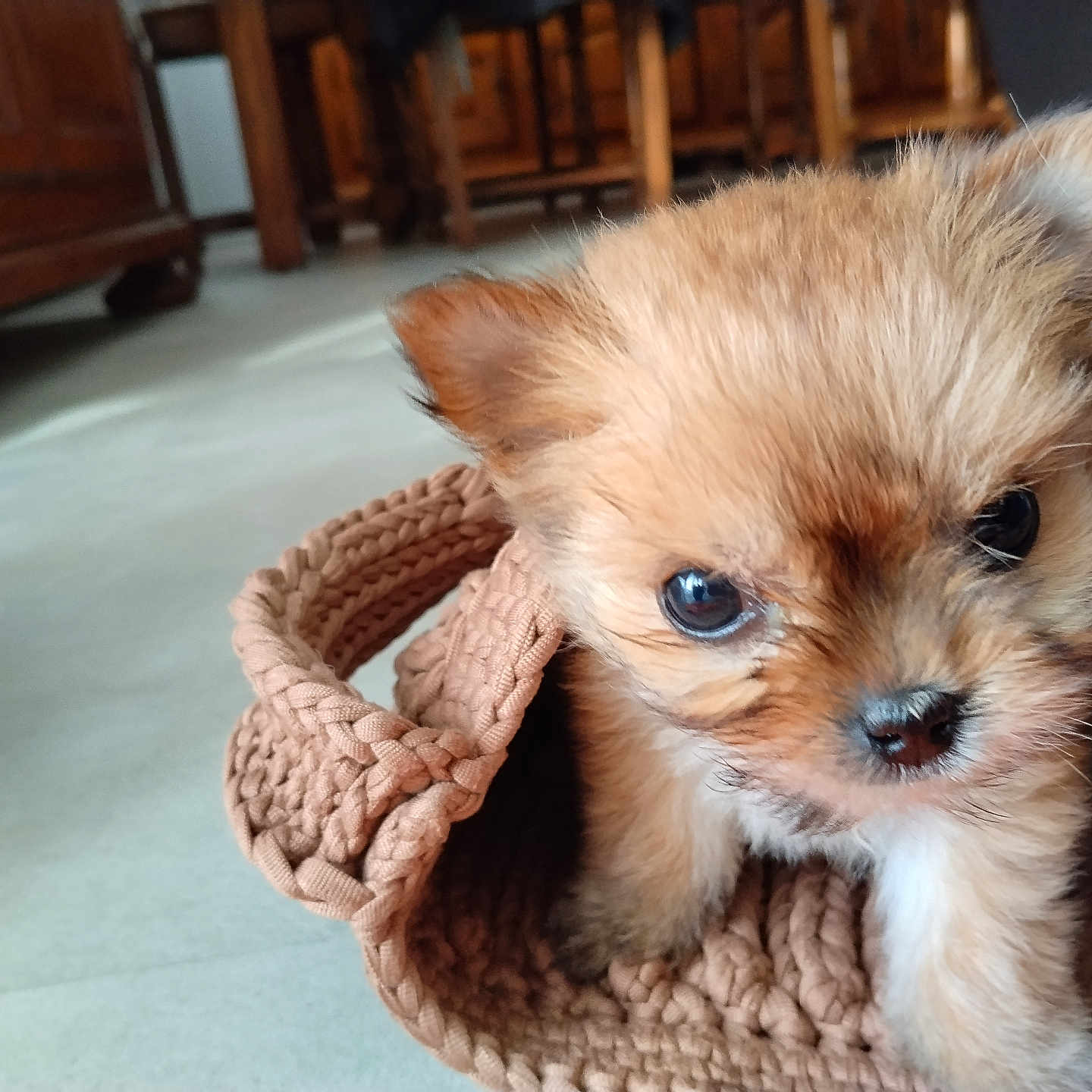 Baby