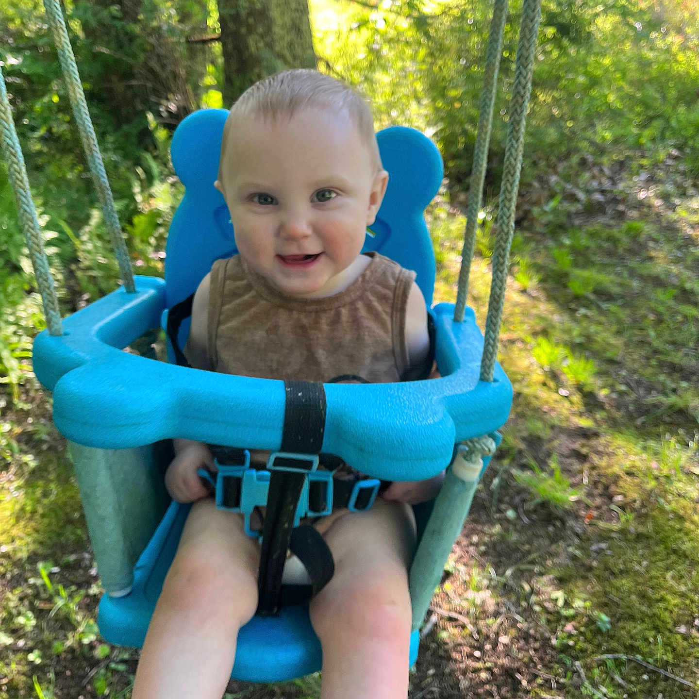 Alex joined the competition — help win amazing prizes! child, toddler, swing, outdoor, greenery, sunlight, forest, tree, grass, smile, happy, seat, rope, play, nature, baby, summer, fun, person, park