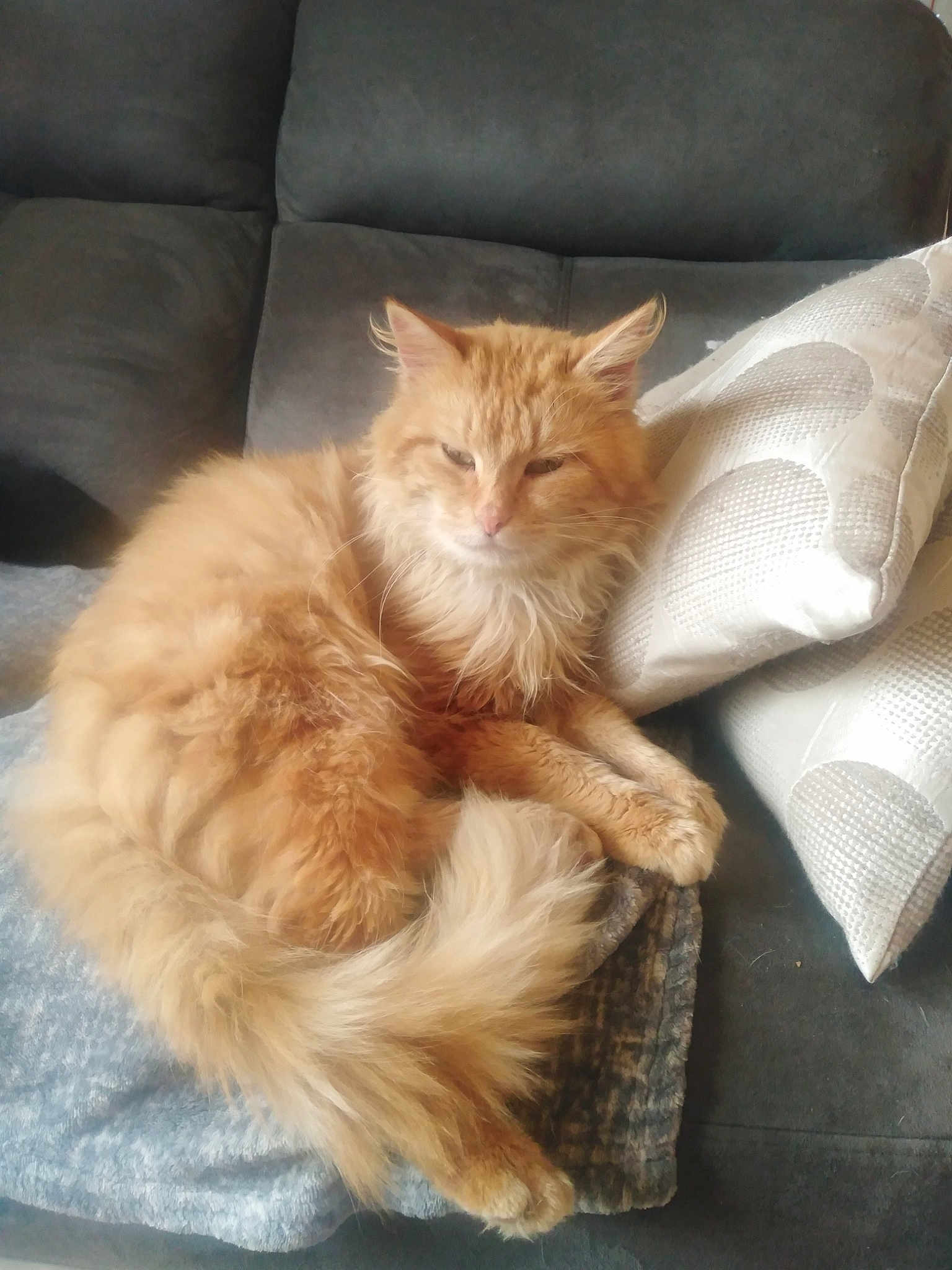 Oliver