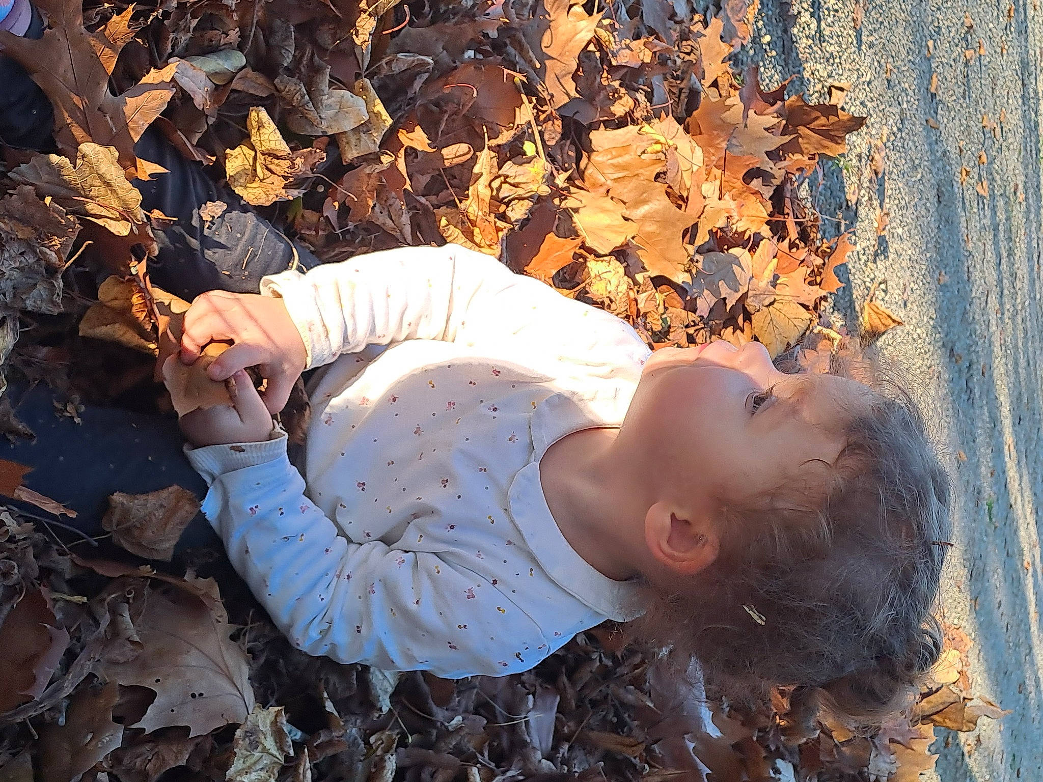 Alexia participe au concours pour gagner de l'argent avec cette photo : autumn, baby, child, deciduous, flash_photography, grass, happy, landscape, leaf, people_in_nature, person, plant, portrait_photography, shadow, sitting, soil, toddler, tree, wood