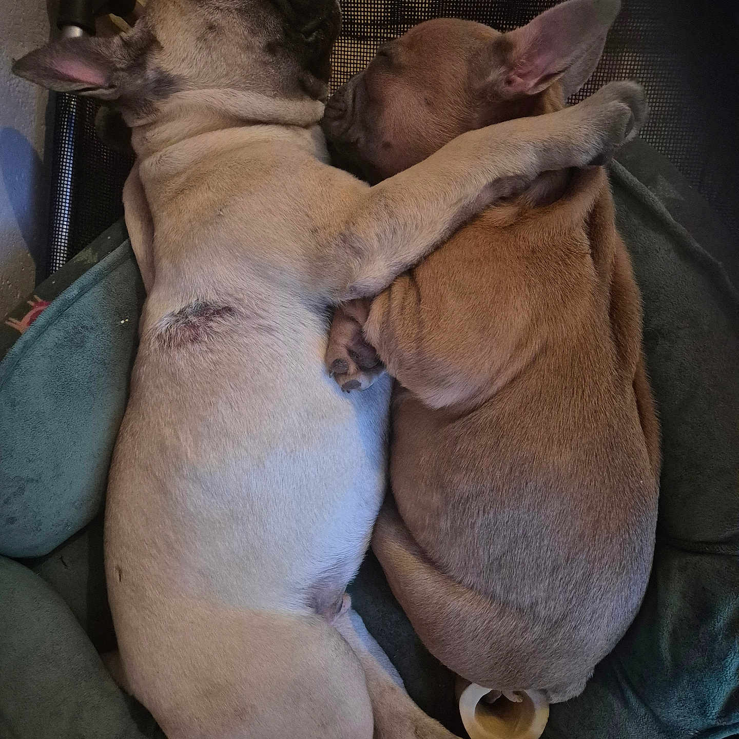 Arnold Et Arlette