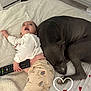 Kobie joined the competition — help win amazing prizes! baby, dog, blanket, bed, remote_control, heart_pattern, curious, sleeping, cozy, indoor, carpet, chair, radiator, white_clothing, patterned_pants, furniture, floor, peaceful, toy, heart_doodle