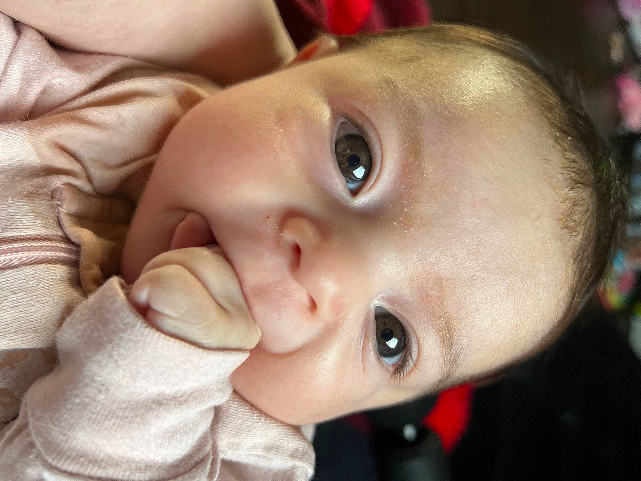Alessandra joined the competition — help win amazing prizes! baby, cheek, close_up, comfort, eyebrow, eyelash, forehead, fun, grass, happy, headgear, iris, lip, mouth, neck, no_expression, nose, person, skin, smile
