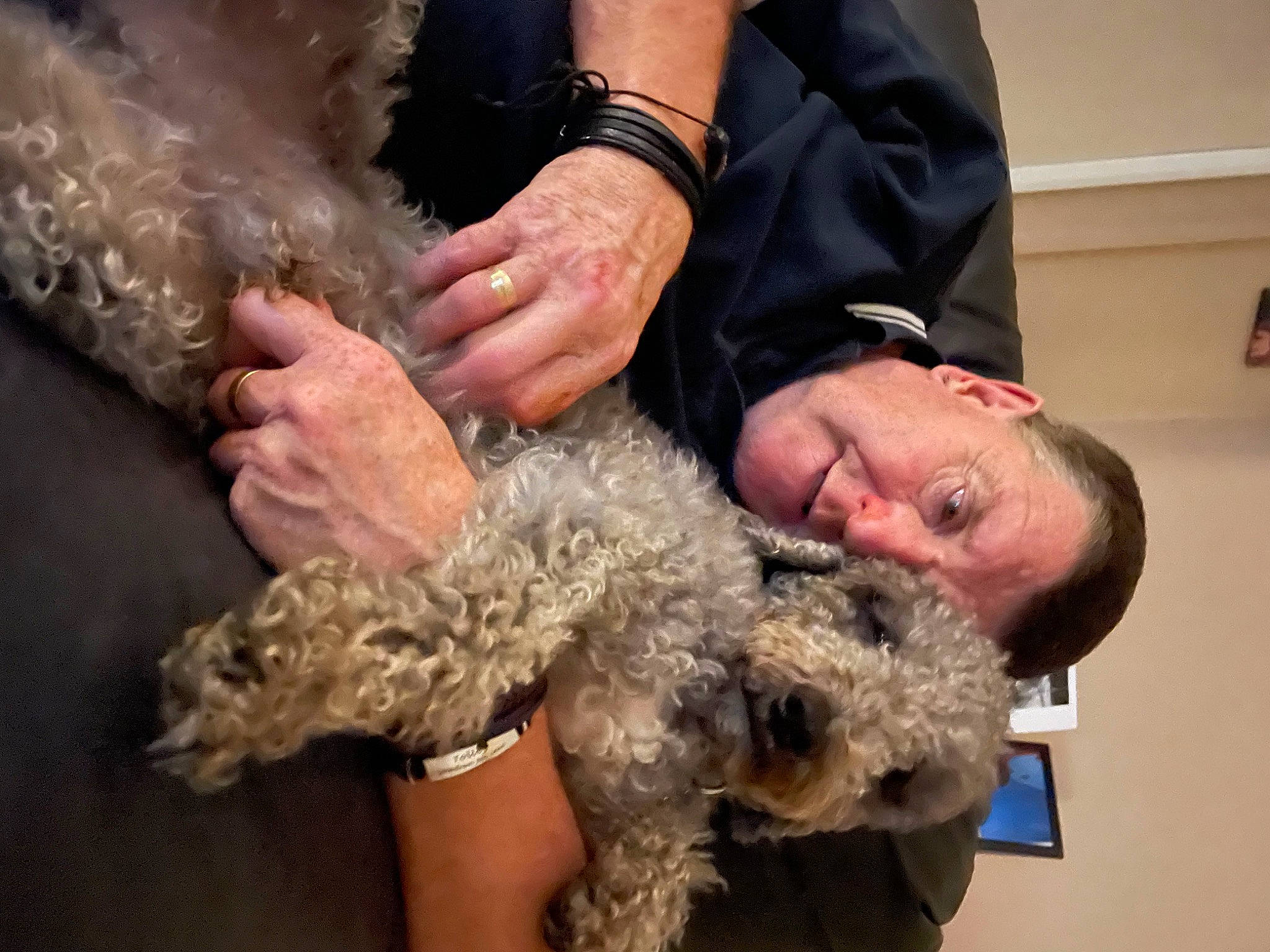 Shaun is registered to the contest to win money with this photo: canidae, carnivore, companion_dog, dog, dog_breed, event, fur, gesture, labradoodle, nail, natural_material, poodle, poodle_crossbreed, small_terrier, sporting_group, terrier, toy_dog, veterinarian, water_dog, wrist