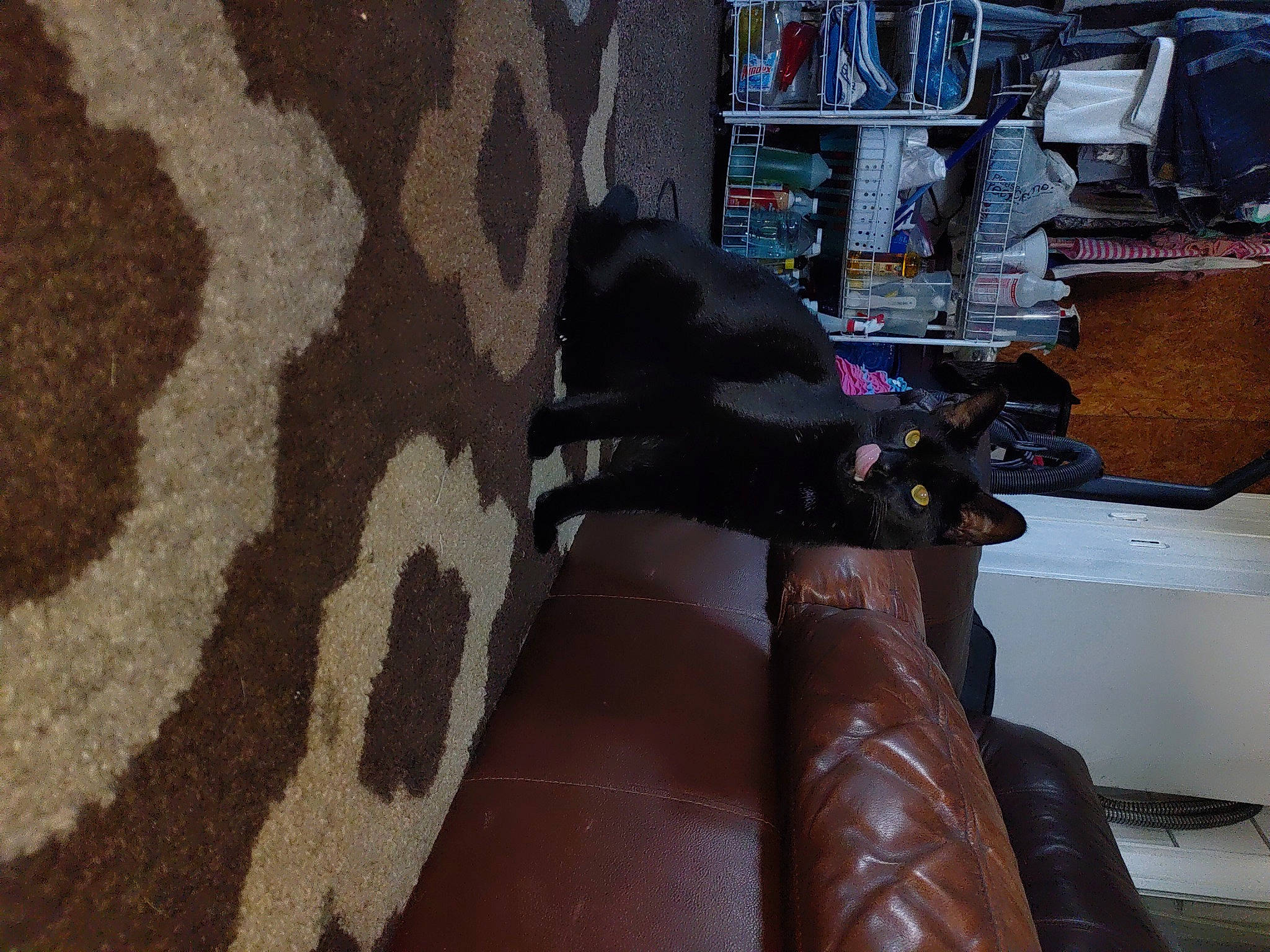 Bucket is registered to the contest to win money with this photo: automotive_design, automotive_tire, brown, chair, comfort, couch, flooring, fur, hardwood, hat, linens, living_room, military_camouflage, pattern, purple, room, shelf, shelving, textile, wood