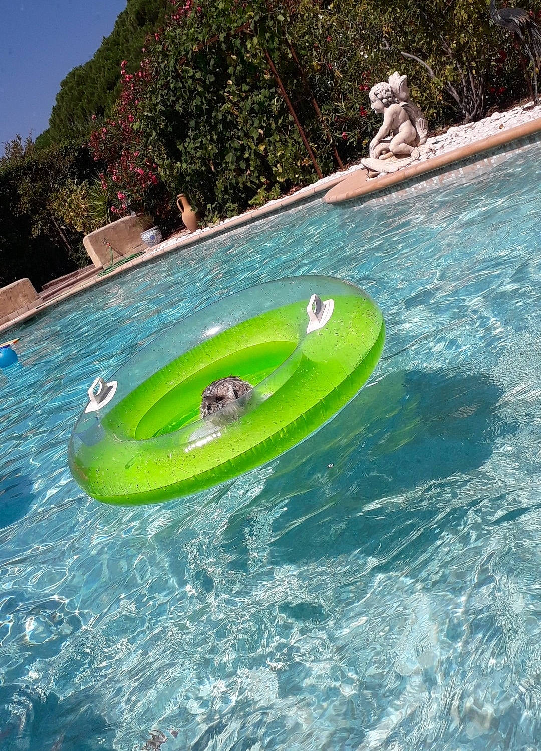 Jaïla participe au concours pour gagner de l'argent avec cette photo : fun, games, green, inflatable, leisure, park, recreation, swimming_pool, vacation, vehicle, water, water_park, wave