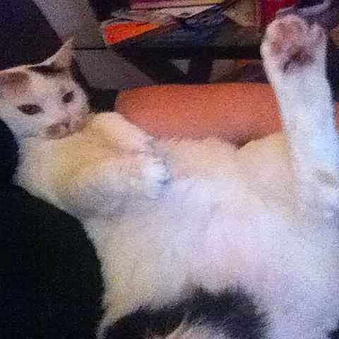 Daphne is registered to the contest to win money with this photo: